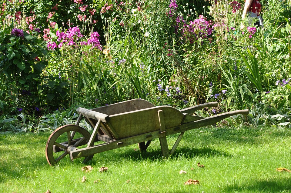 4 astuces pour être un jardinier respectueux