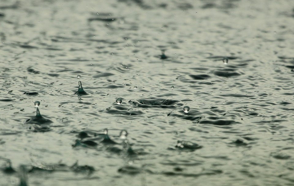 Récupérer l’eau de pluie, profiter d’une ressource gratuite